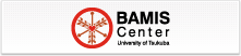 BAMIS Center